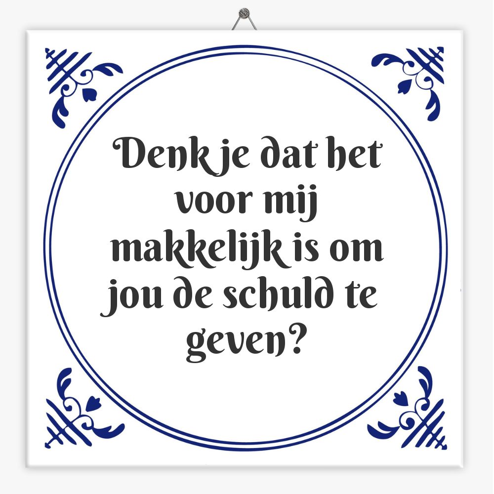 Denk je dat het voor mij makkelijk is om jou de schuld te geven?