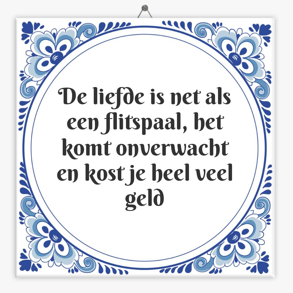 De liefde is net als een flitspaal, het komt onverwacht en kost je heel veel geld
